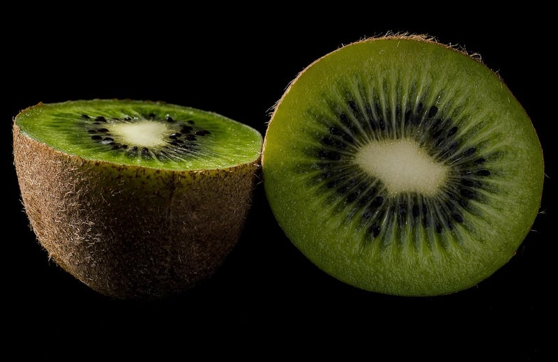 Plant-Based Diet
